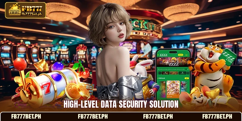 High-level data security solution