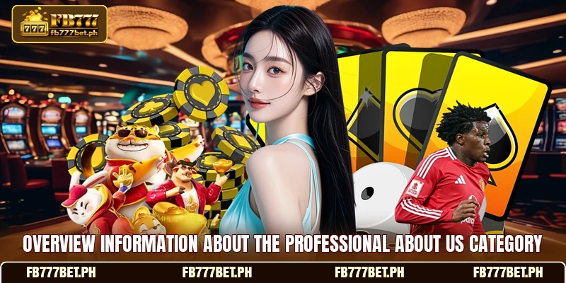 Overview information about the professional about us category Overview information about the professional about us category