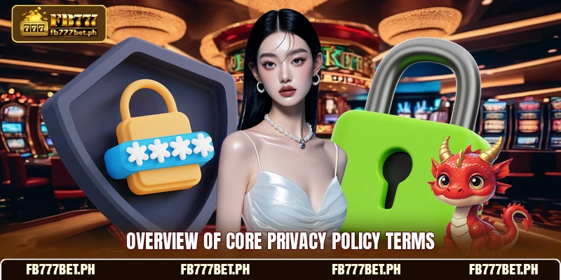 Overview of core privacy policy terms Overview of core privacy policy terms