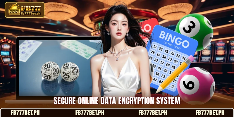 Secure online data encryption system Secure online data encryption system